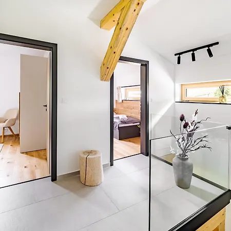 Sněženka Vila Horní Planá
